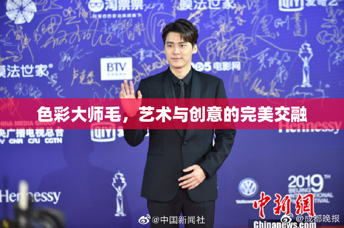 色彩大师毛，艺术与创意的完美交融