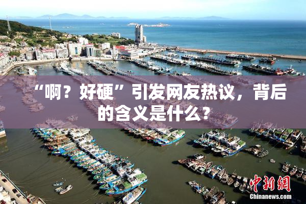 “啊？好硬”引发网友热议，背后的含义是什么？