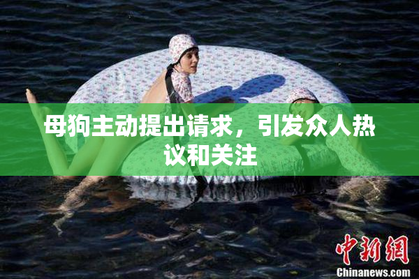 母狗主动提出请求，引发众人热议和关注