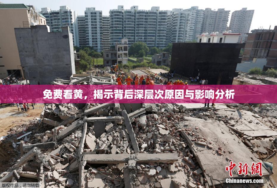 免费看黄，揭示背后深层次原因与影响分析