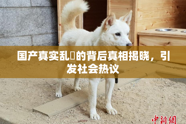 国产真实乱婬的背后真相揭晓，引发社会热议