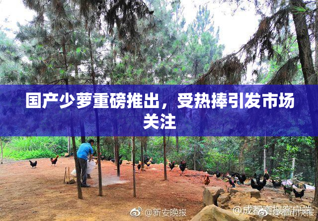 国产少萝重磅推出，受热捧引发市场关注