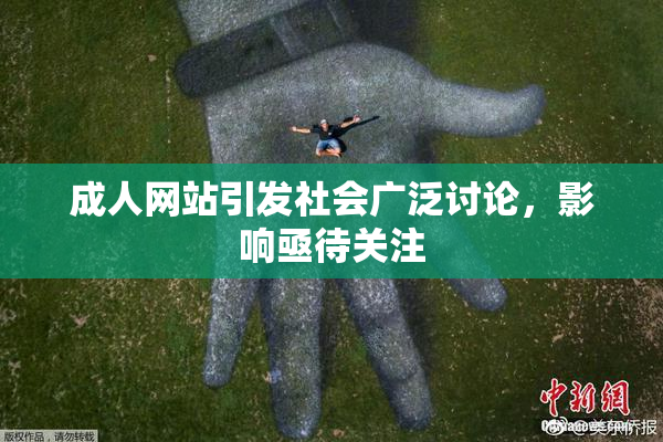 成人网站引发社会广泛讨论，影响亟待关注