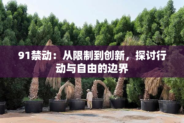 91禁动：从限制到创新，探讨行动与自由的边界