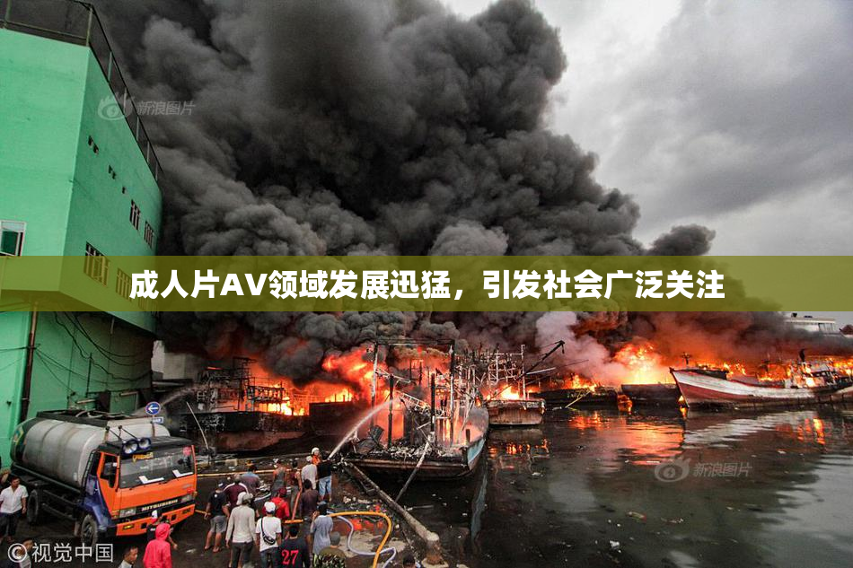 成人片AV领域发展迅猛，引发社会广泛关注