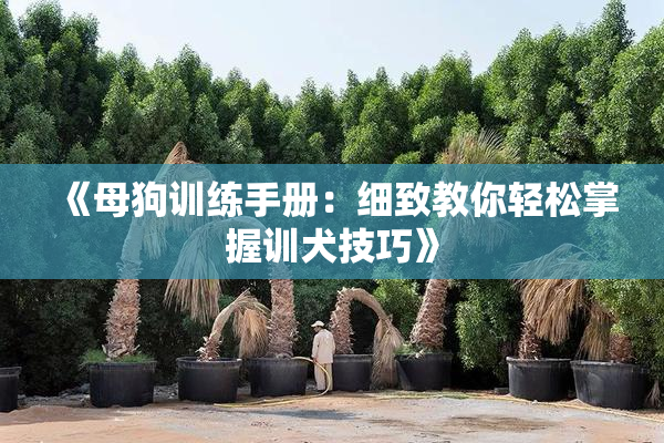 《母狗训练手册：细致教你轻松掌握训犬技巧》