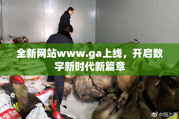 全新网站www.ga上线，开启数字新时代新篇章
