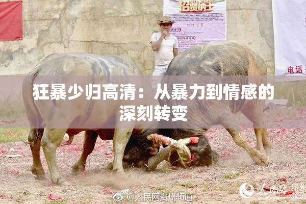 狂暴少归高清：从暴力到情感的深刻转变
