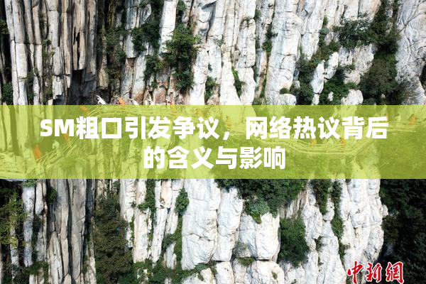 SM粗口引发争议，网络热议背后的含义与影响