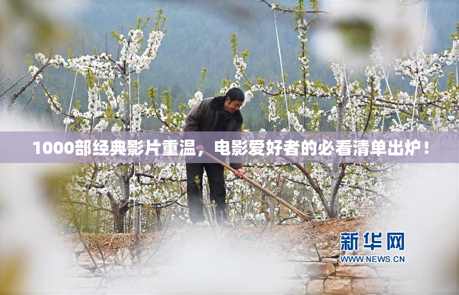 1000部经典影片重温，电影爱好者的必看清单出炉！