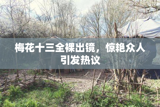 梅花十三全裸出镜，惊艳众人引发热议