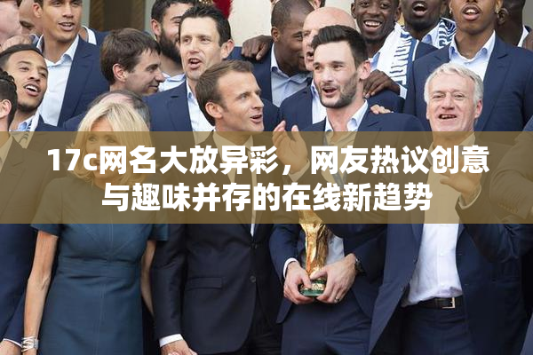 17c网名大放异彩，网友热议创意与趣味并存的在线新趋势