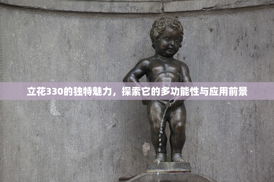 立花330的独特魅力，探索它的多功能性与应用前景