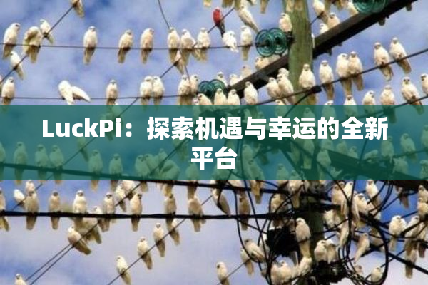 LuckPi：探索机遇与幸运的全新平台