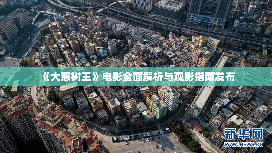 《大慈树王》电影全面解析与观影指南发布
