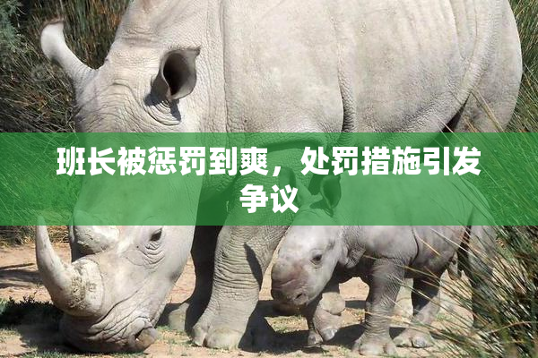 班长被惩罚到爽，处罚措施引发争议
