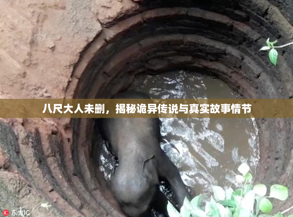 八尺大人未删，揭秘诡异传说与真实故事情节
