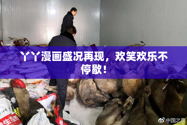丫丫漫画盛况再现，欢笑欢乐不停歇！
