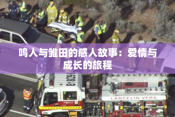 鸣人与雏田的感人故事：爱情与成长的旅程