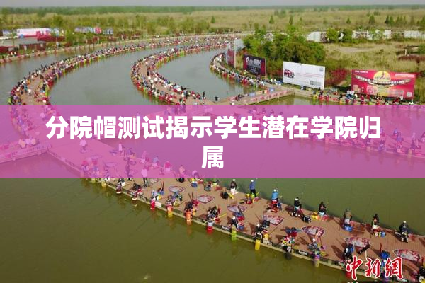 分院帽测试揭示学生潜在学院归属