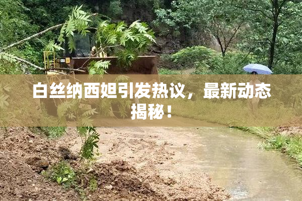 白丝纳西妲引发热议，最新动态揭秘！