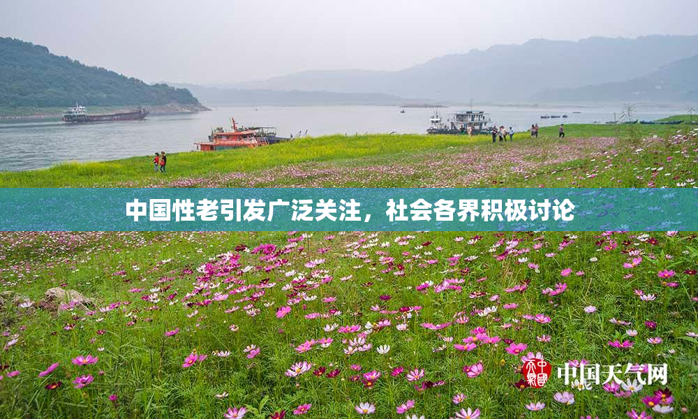 中国性老引发广泛关注，社会各界积极讨论