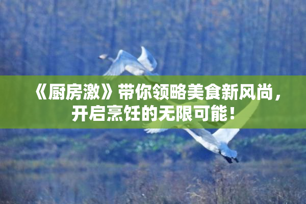 《厨房激》带你领略美食新风尚，开启烹饪的无限可能！