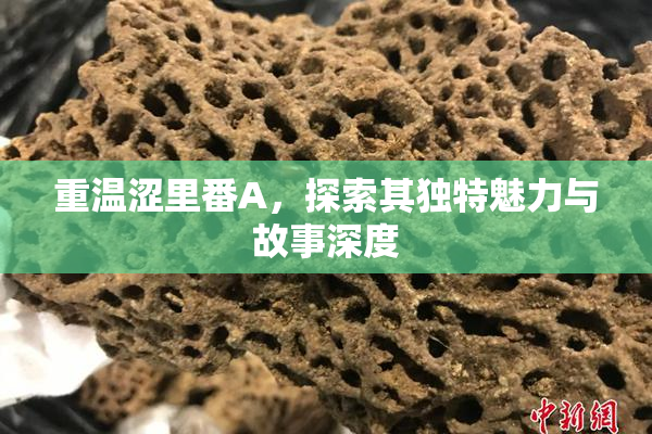 重温涩里番A，探索其独特魅力与故事深度