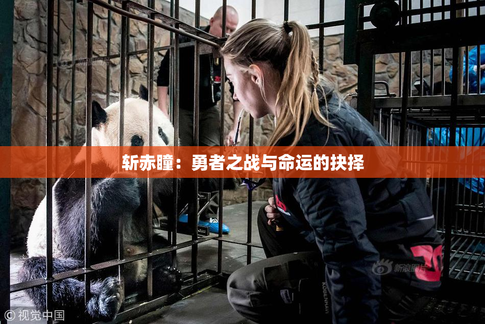 斩赤瞳：勇者之战与命运的抉择