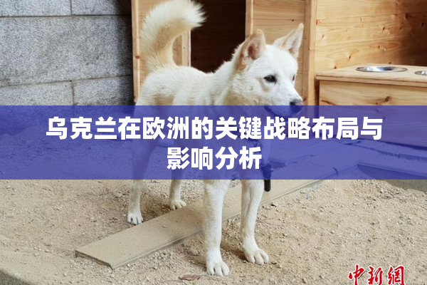 乌克兰在欧洲的关键战略布局与影响分析
