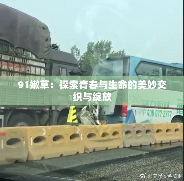 91嫩草：探索青春与生命的美妙交织与绽放