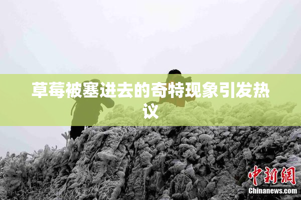 草莓被塞进去的奇特现象引发热议
