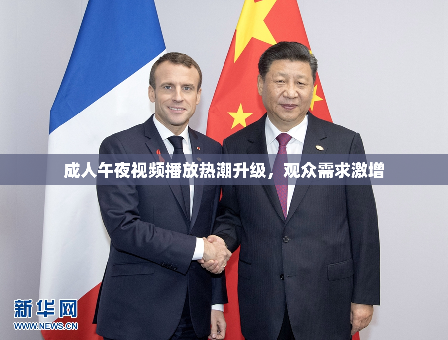 成人午夜视频播放热潮升级，观众需求激增