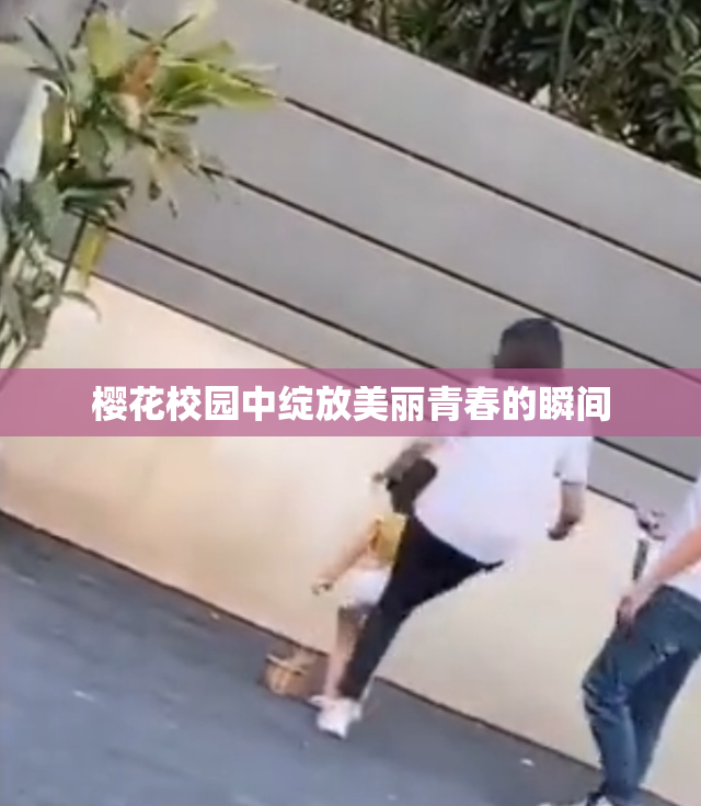 樱花校园中绽放美丽青春的瞬间