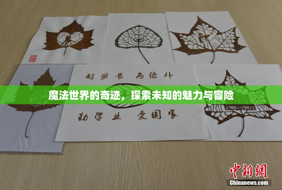 魔法世界的奇迹，探索未知的魅力与冒险