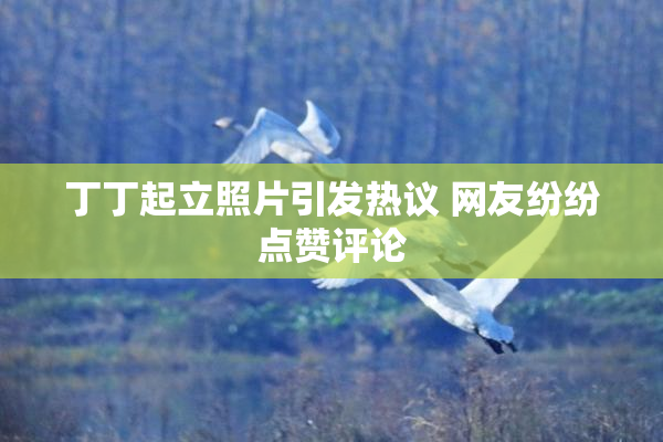 丁丁起立照片引发热议 网友纷纷点赞评论