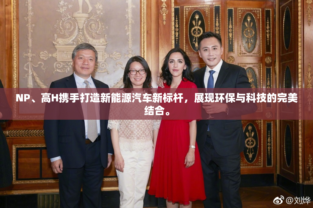 NP、高H携手打造新能源汽车新标杆，展现环保与科技的完美结合。
