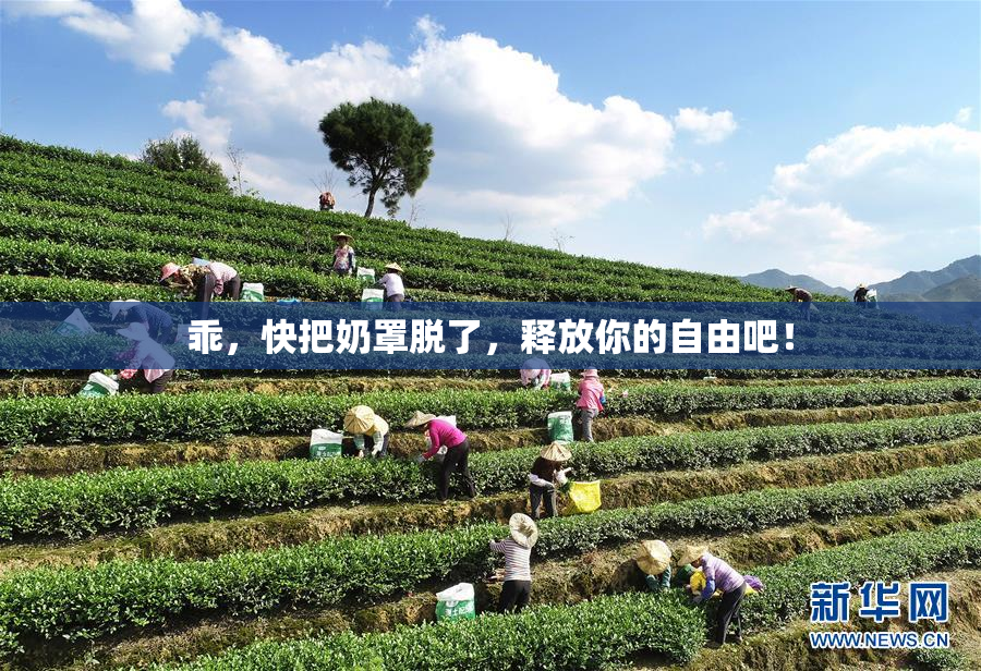 乖，快把奶罩脱了，释放你的自由吧！