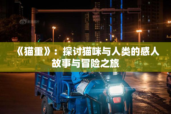 《猫重》：探讨猫咪与人类的感人故事与冒险之旅