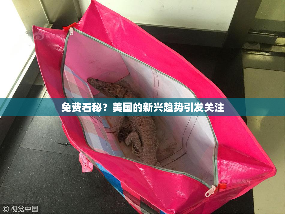 免费看秘？美国的新兴趋势引发关注