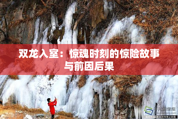 双龙入室：惊魂时刻的惊险故事与前因后果