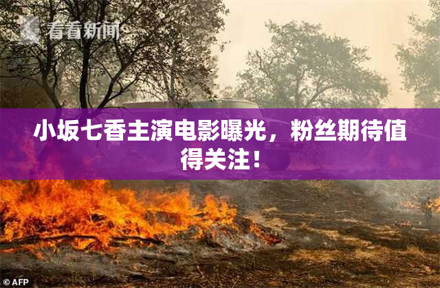 小坂七香主演电影曝光，粉丝期待值得关注！
