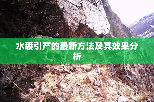 水囊引产的最新方法及其效果分析