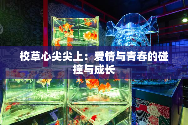 校草心尖尖上：爱情与青春的碰撞与成长
