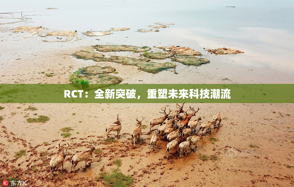 RCT：全新突破，重塑未来科技潮流