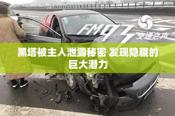 黑塔被主人泄露秘密 发现隐藏的巨大潜力