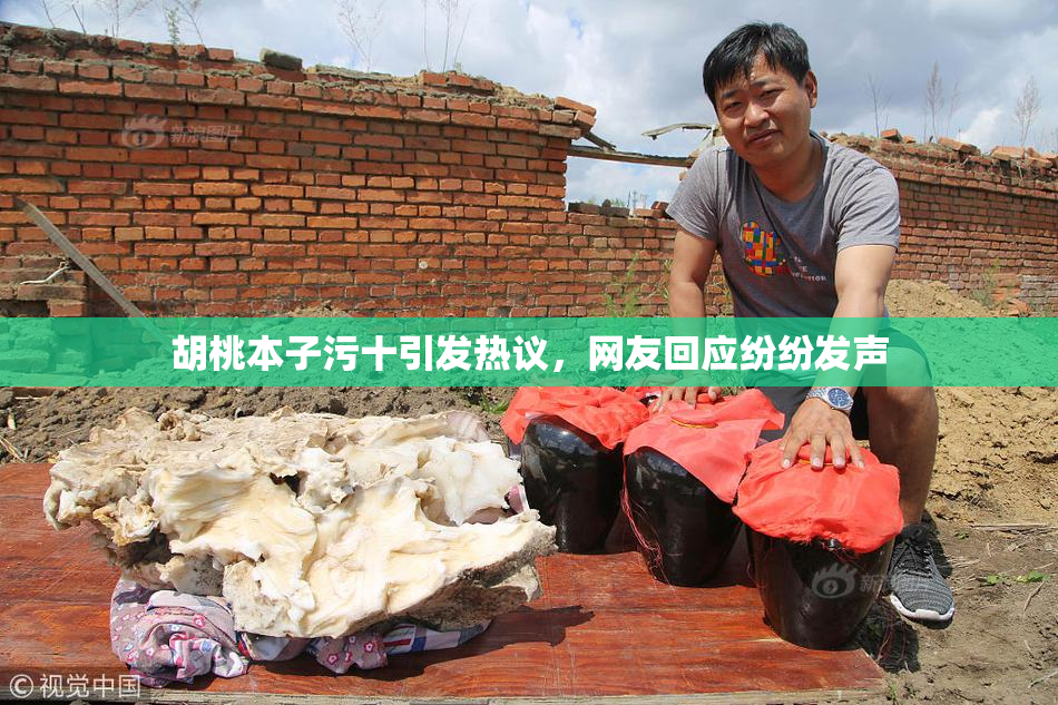 胡桃本子污十引发热议，网友回应纷纷发声