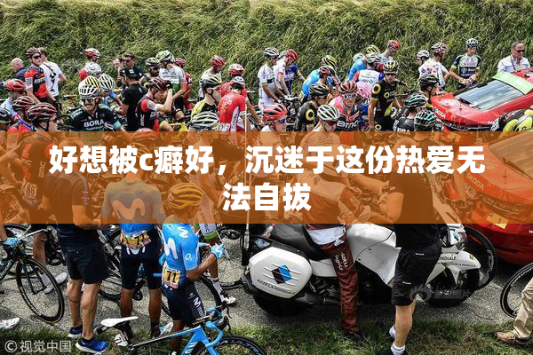 好想被c癖好，沉迷于这份热爱无法自拔