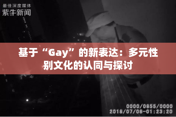 基于“Gay”的新表达：多元性别文化的认同与探讨