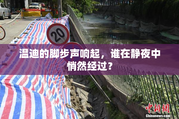 温迪的脚步声响起，谁在静夜中悄然经过？
